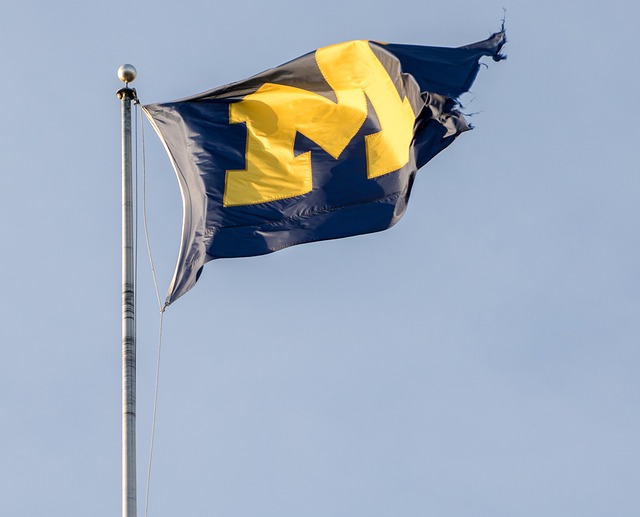 img1.png